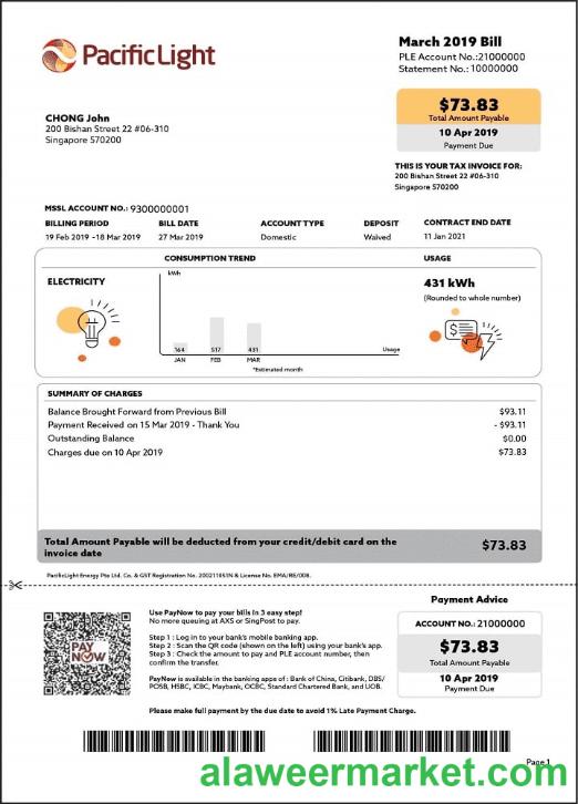 Singapore Pacific Light electricity utility bill template in Word and PDF format